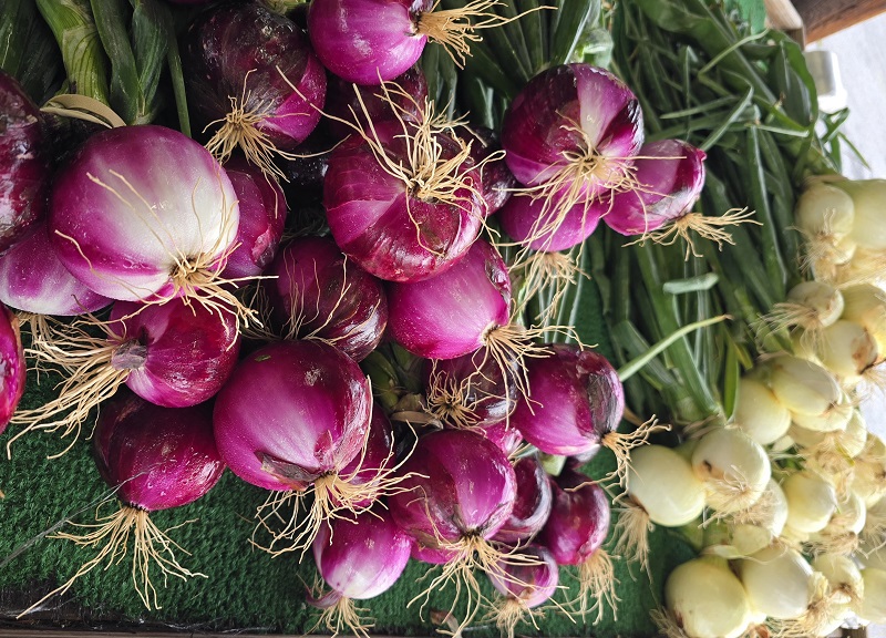 onion